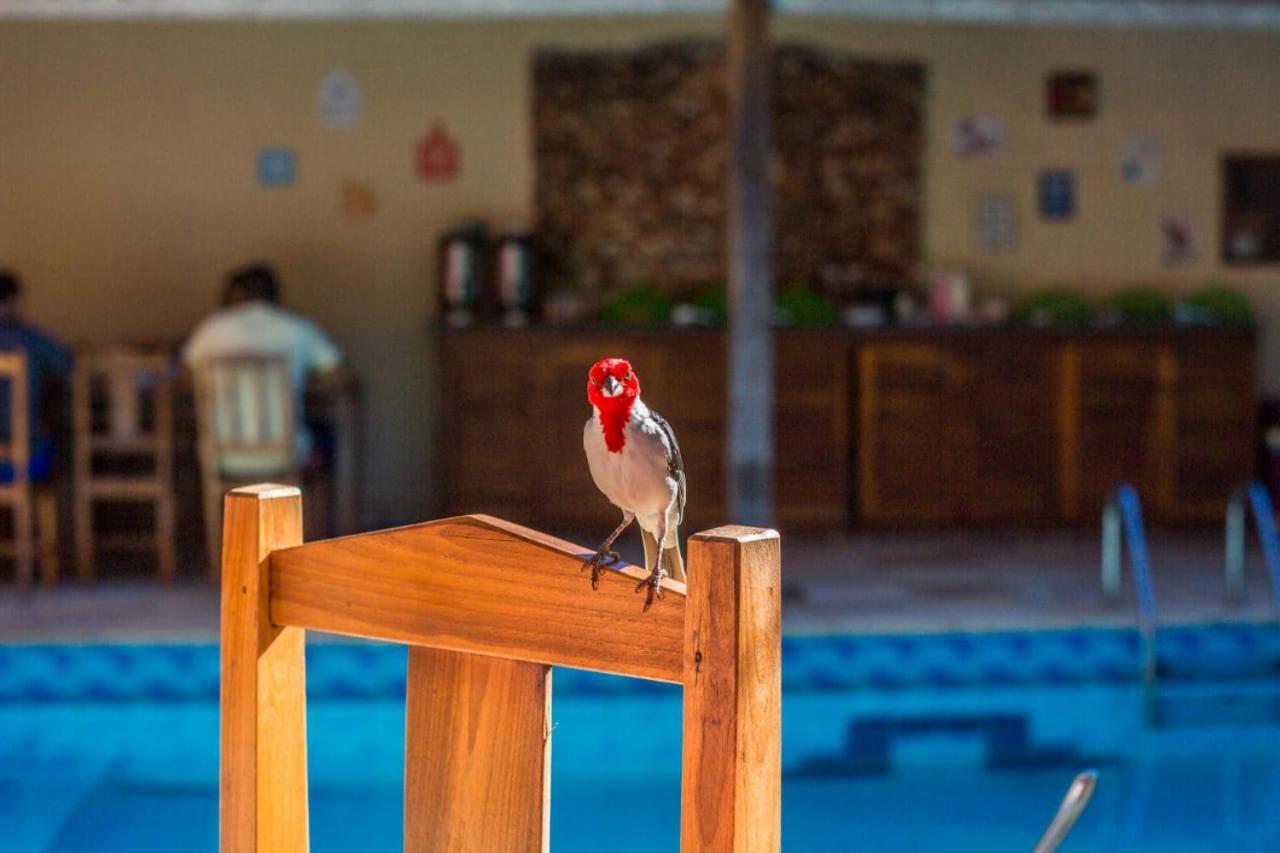 Viva Jeri Pousada Jijoca de Jericoacoara Esterno foto